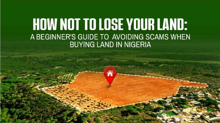 HOW NOT TO LOSE YOUR LAND: A BEGINNER'S GUIDE TO AVOIDING SCAMS WHEN BUYING LAND IN NIGERIA